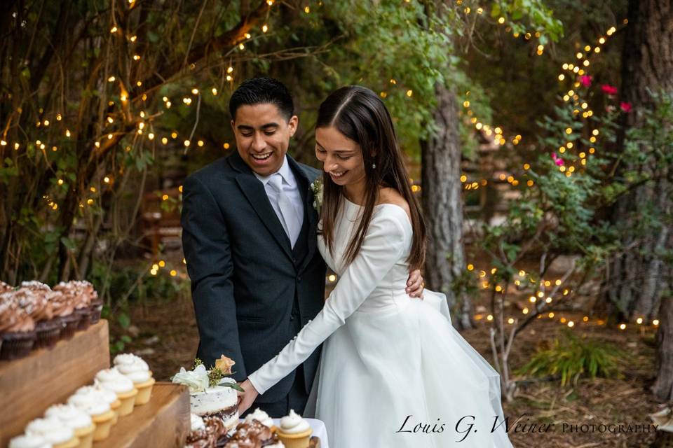 Night Cake Cutting