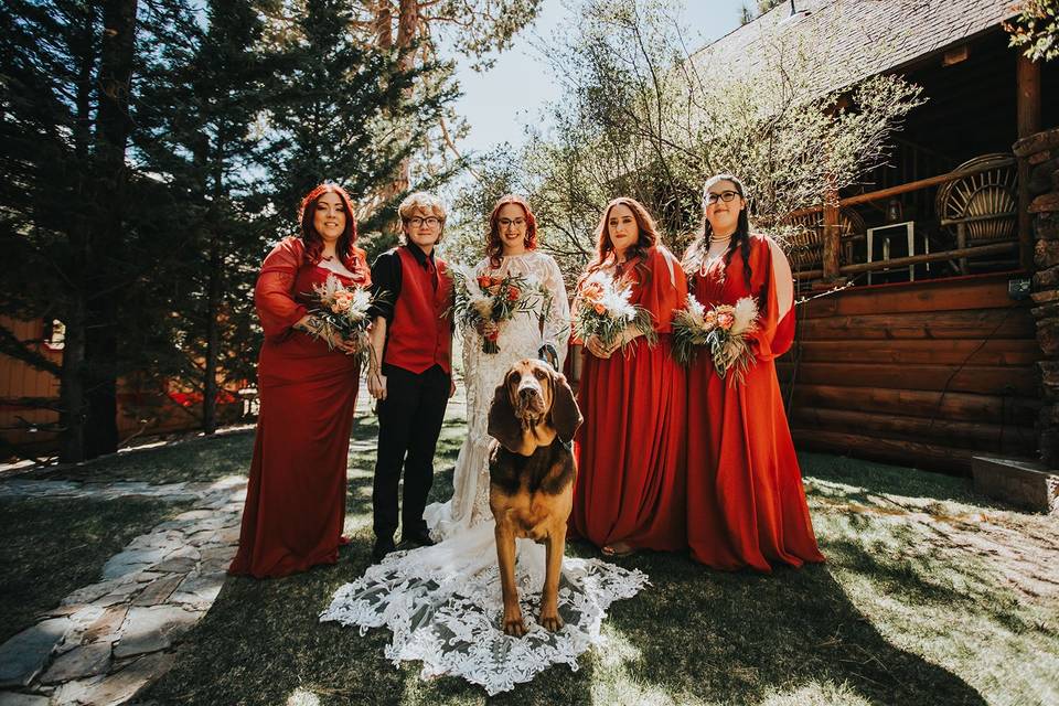 May Bridal Party