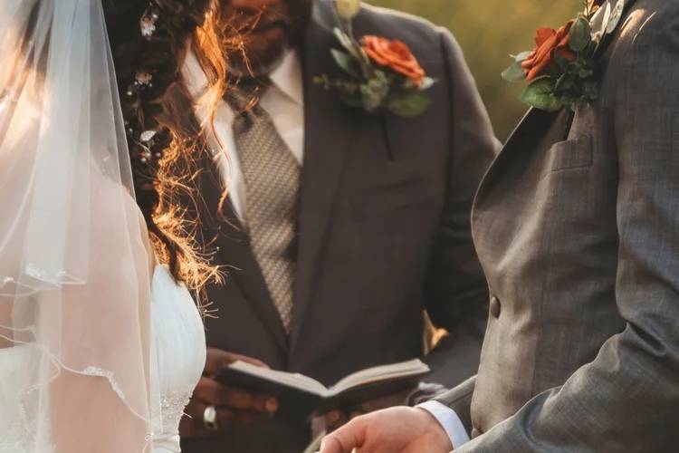 Francis Farms