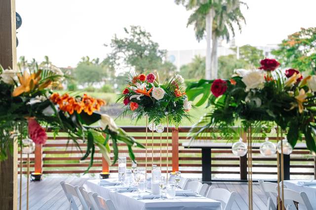 Outdoor Reception Area