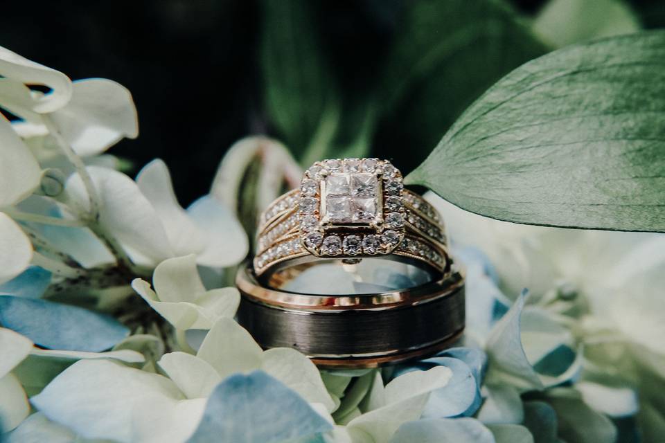 McEwen Photography & Videography