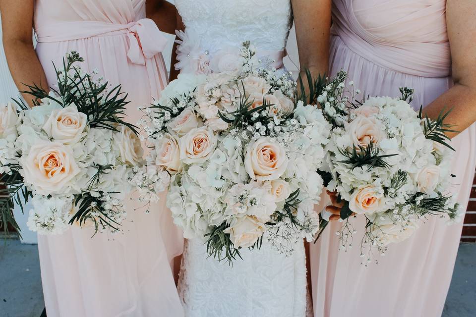 McEwen Photography & Videography