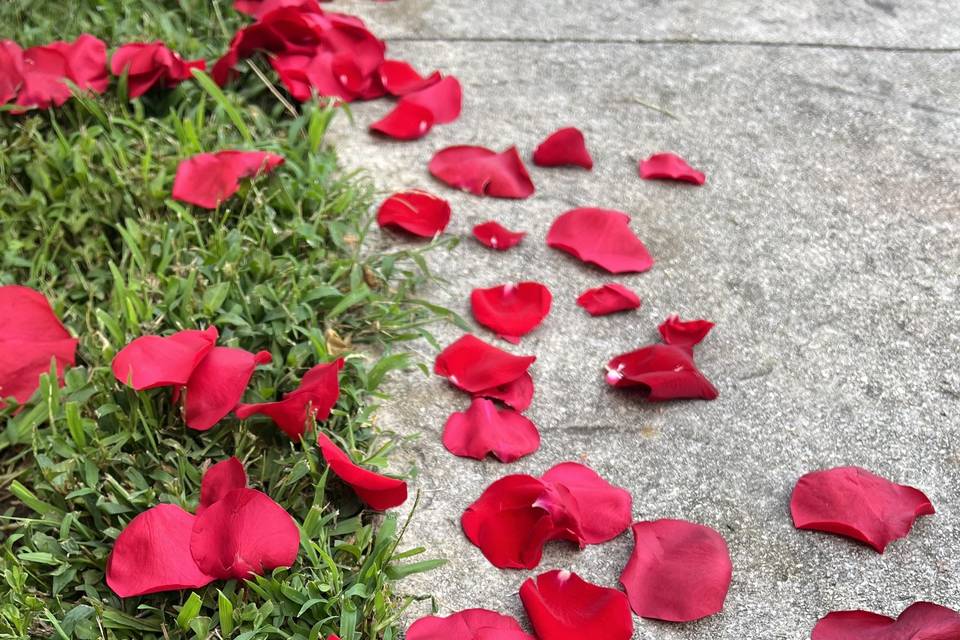 Flower Petals