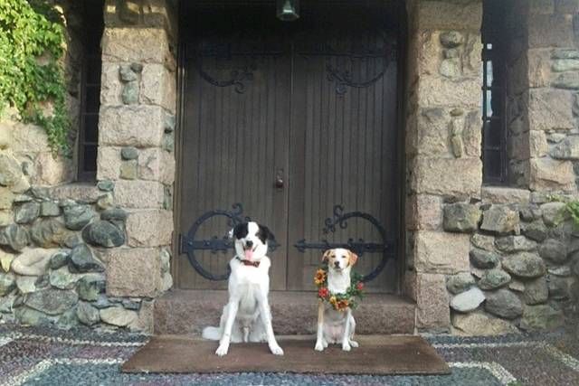 Wedding couple