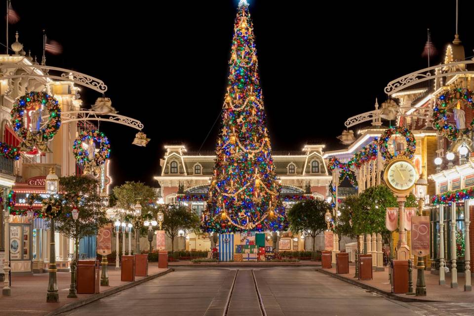Disney World Christmas
