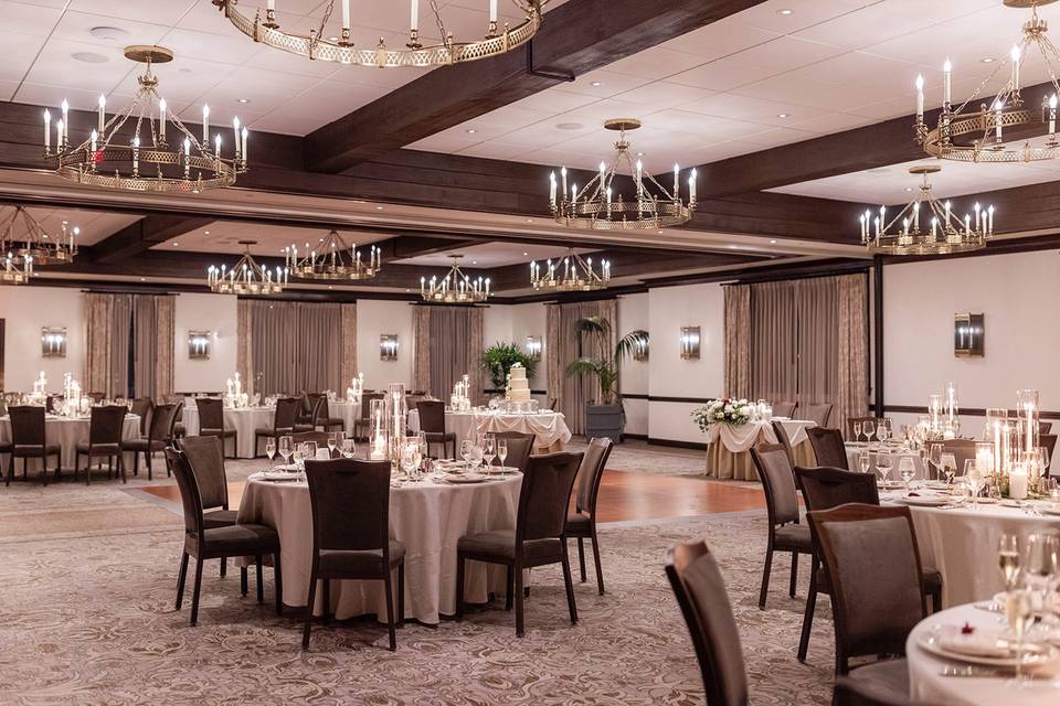 Rachel Stelter Photography