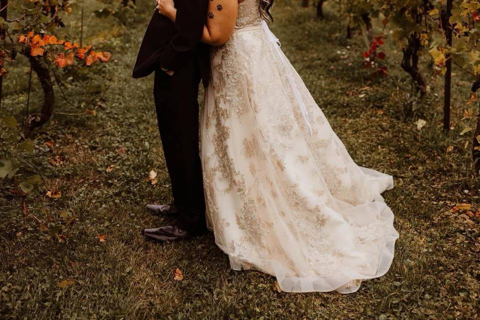Photo in vineyards