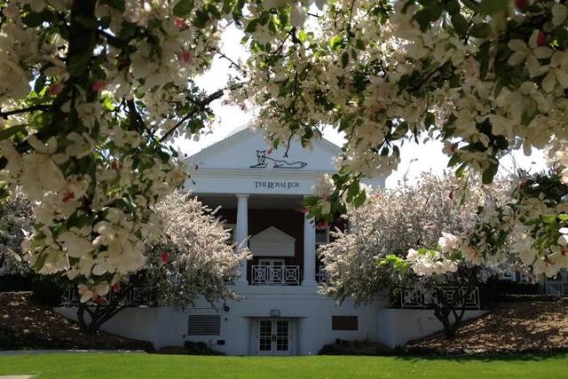 Royal Fox Country Club