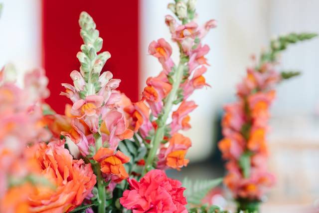 Lady Luck Floral