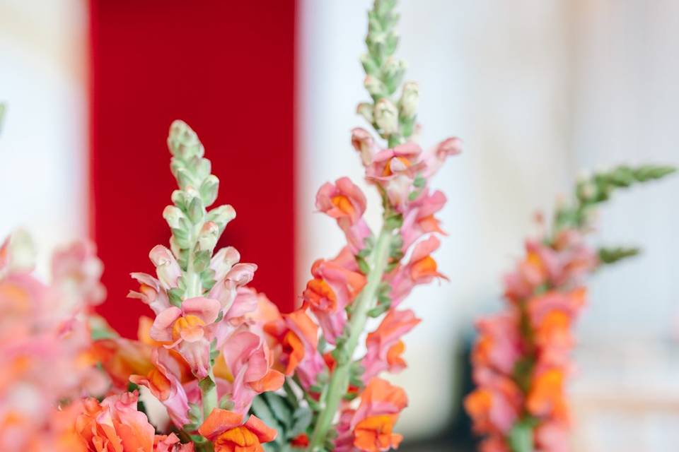 Lady Luck Floral
