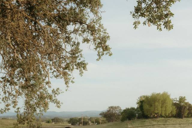 Bride + Groom Paso Robles