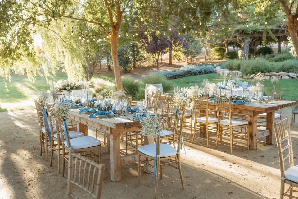 Wedding Details Bella Terra
