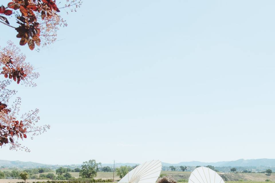 Bride and Groom Portrait