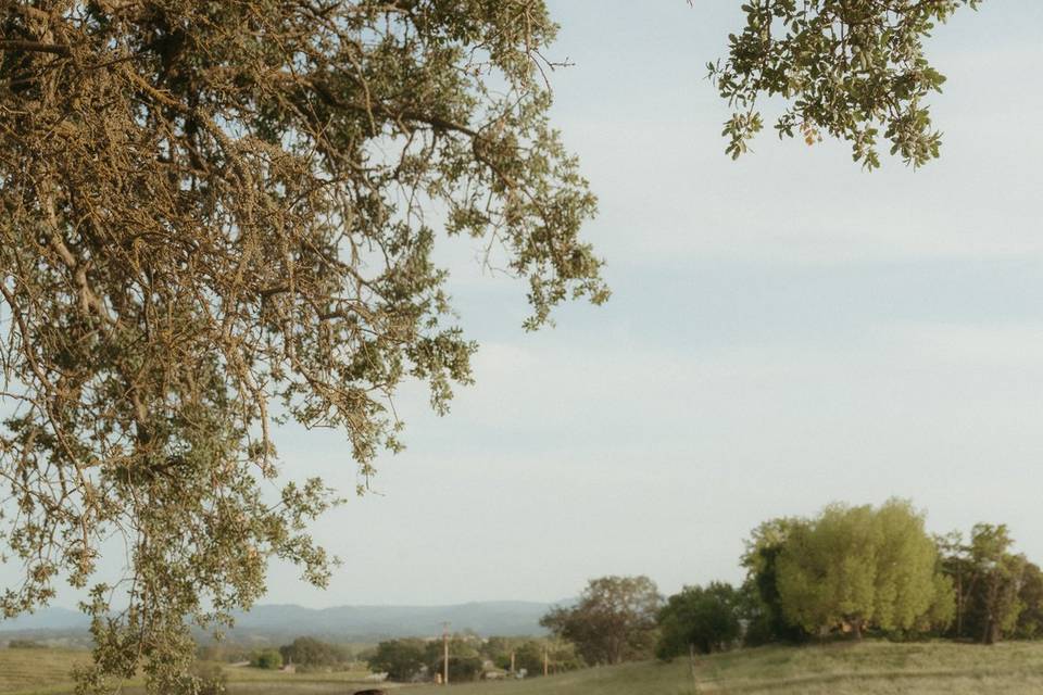 Bride + Groom Paso Robles