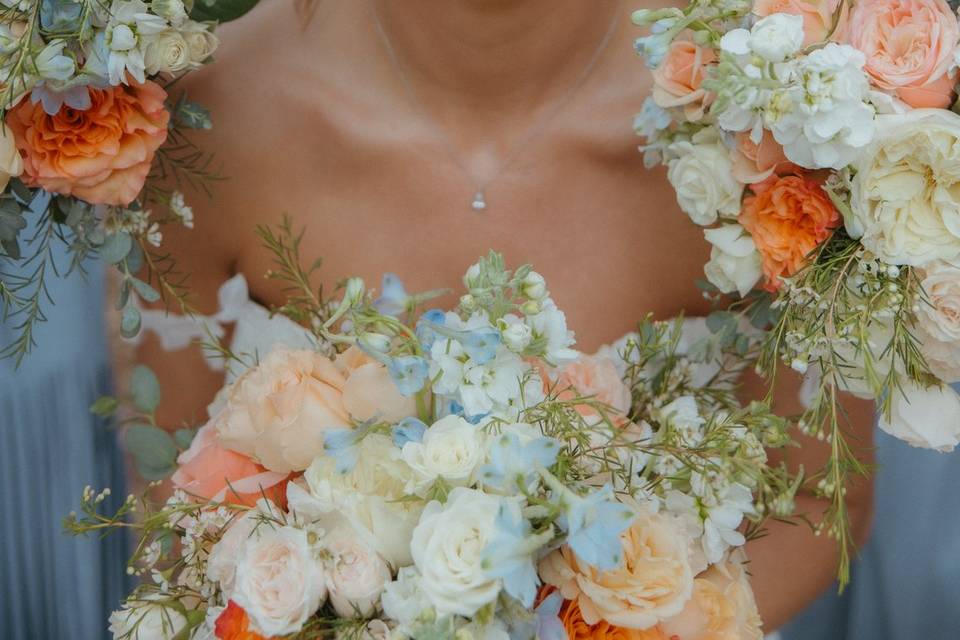 Bride portrait Arroyo Grande