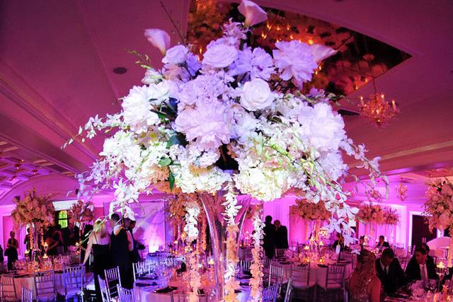 Tall flowers