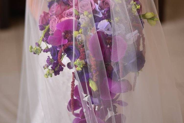 Dreamscape Events by JDMos