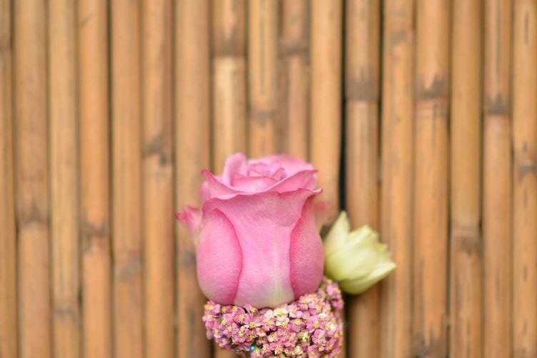 Dreamscape Events by JDMos