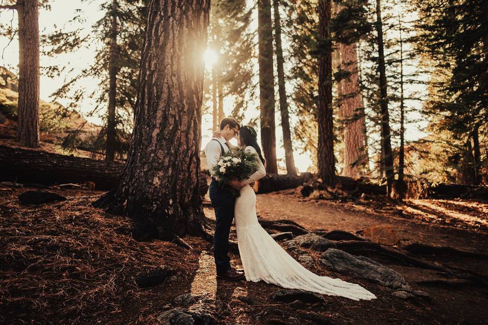 Yosemite National Park Wedding