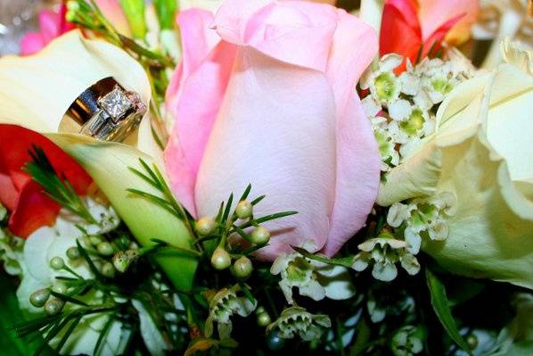 Ocala Prestige Photography Inc.