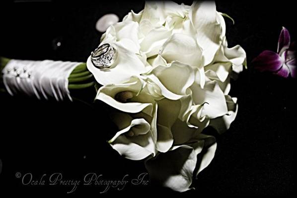 Ocala Prestige Photography Inc.
