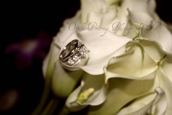Ocala Prestige Photography Inc.