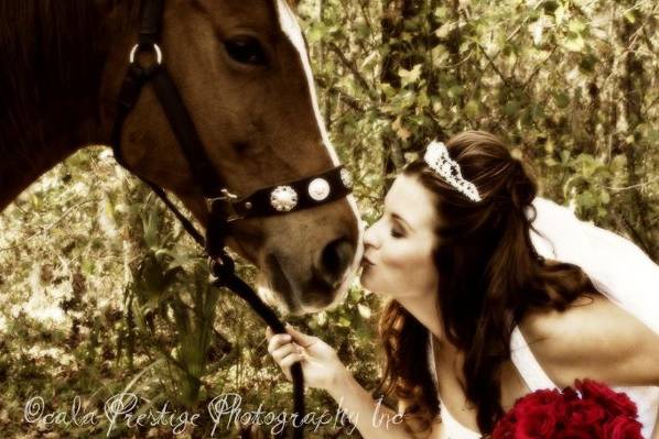 Ocala Prestige Photography Inc.