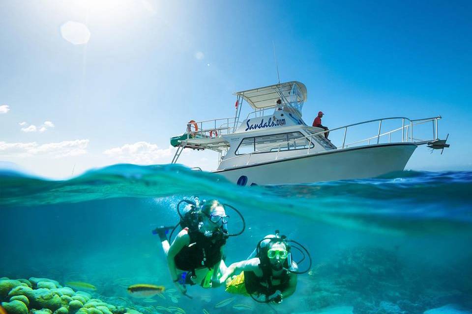 Scuba diving honeymoon