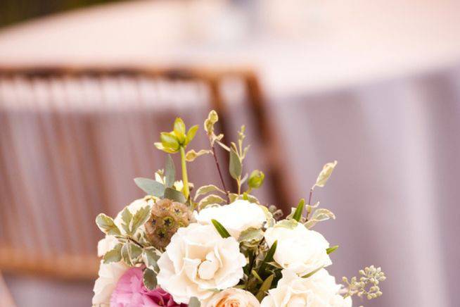 Sweet Magnolia Flowers