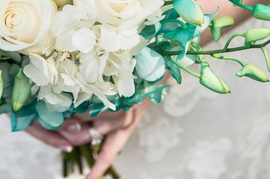 Sweet Magnolia Flowers