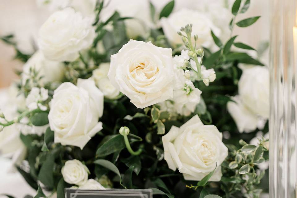 Wedding Planner