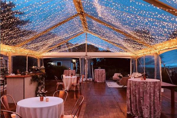 Twinkle Lights in Clear Tent