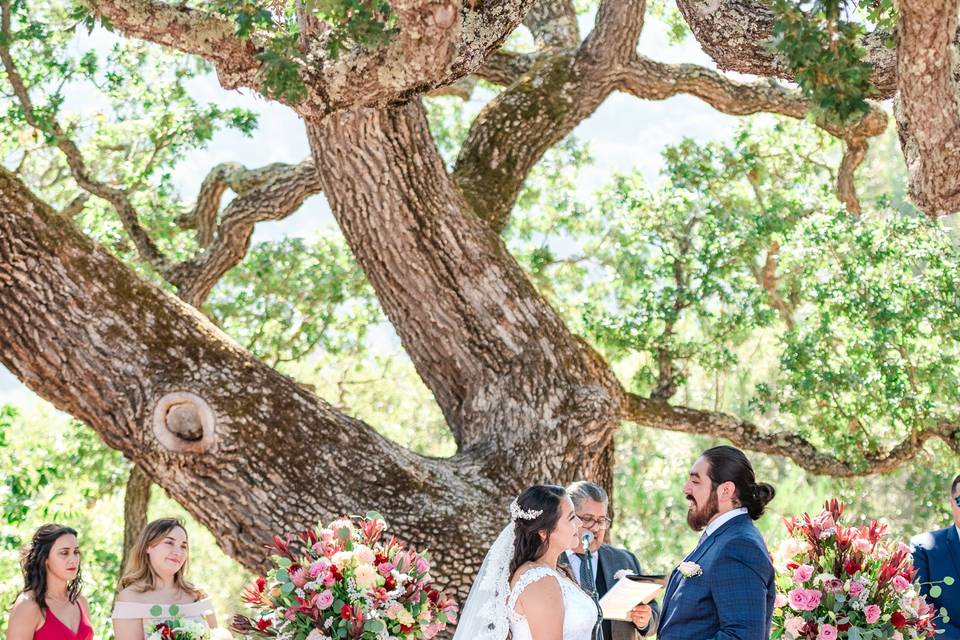 Hidden Valley Carmel Ceremony