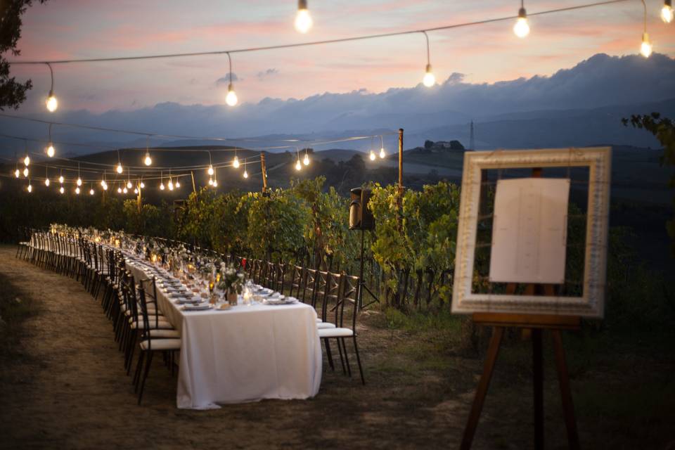 Dinner table in the vineyard