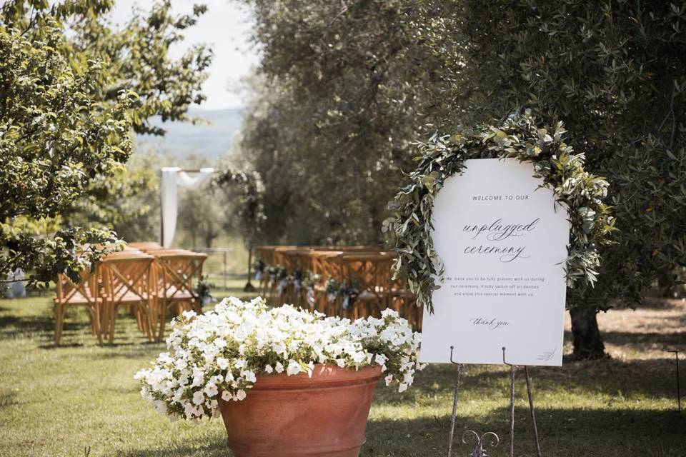 Ceremony in the olivegrove