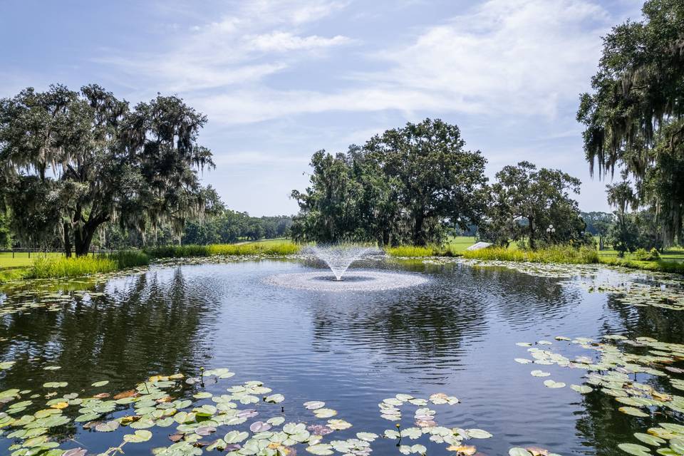 Pond next to house