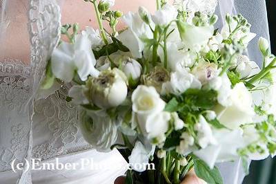 Ember Photography