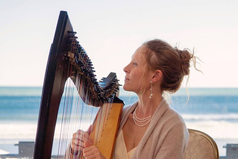 Harp at Atlantic Beach Club