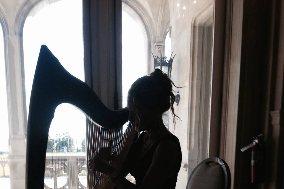 Harp at Ochre Court