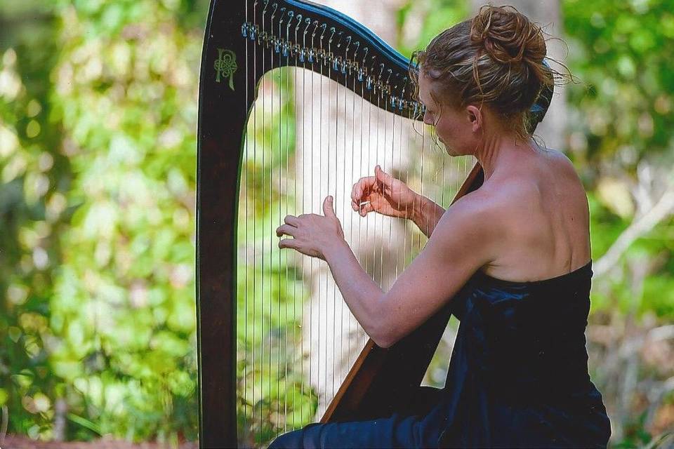 Harpist in the woods