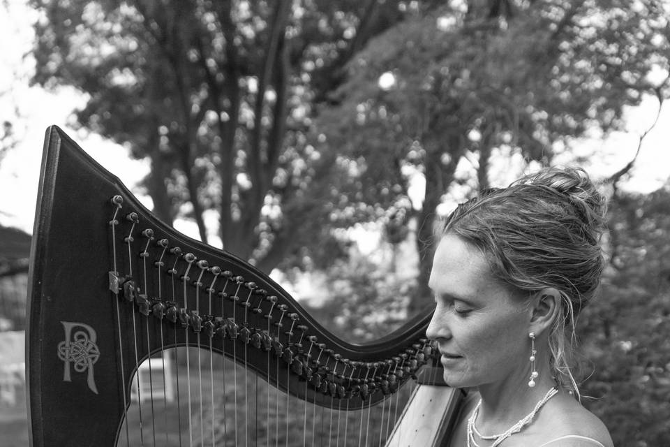 Portrait of the musician - Photo by Nelson Nunes