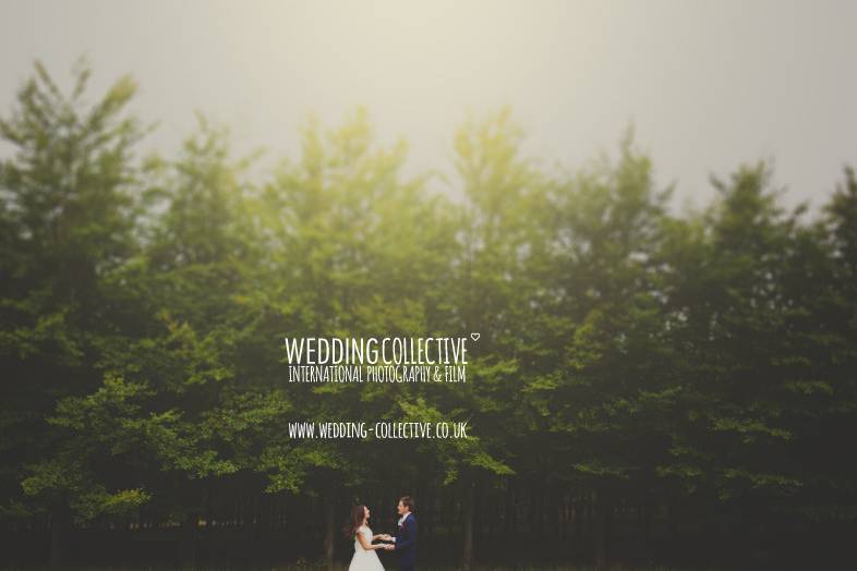 Wedding collective