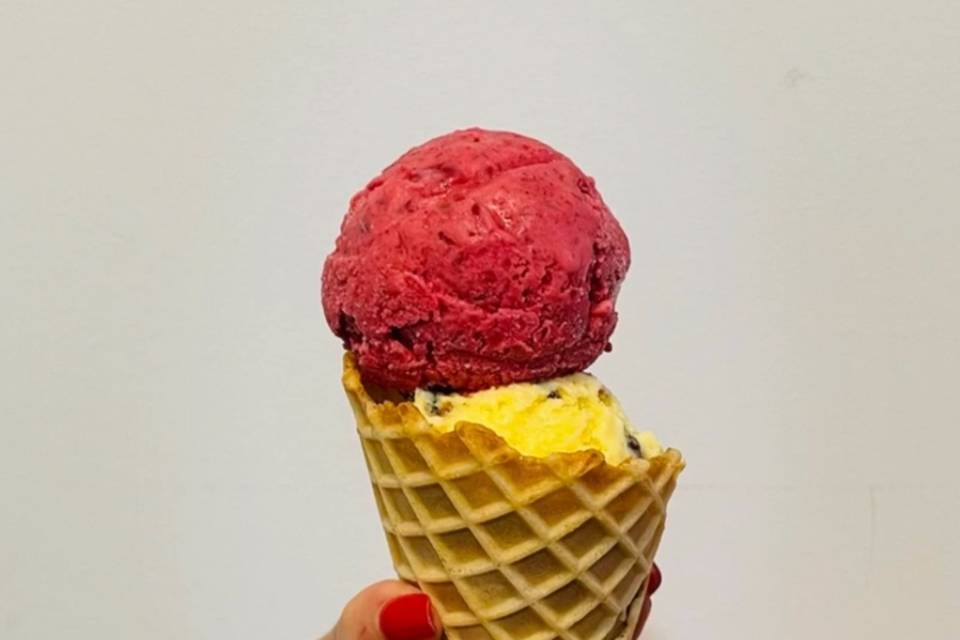 Miami Iced Paleteria