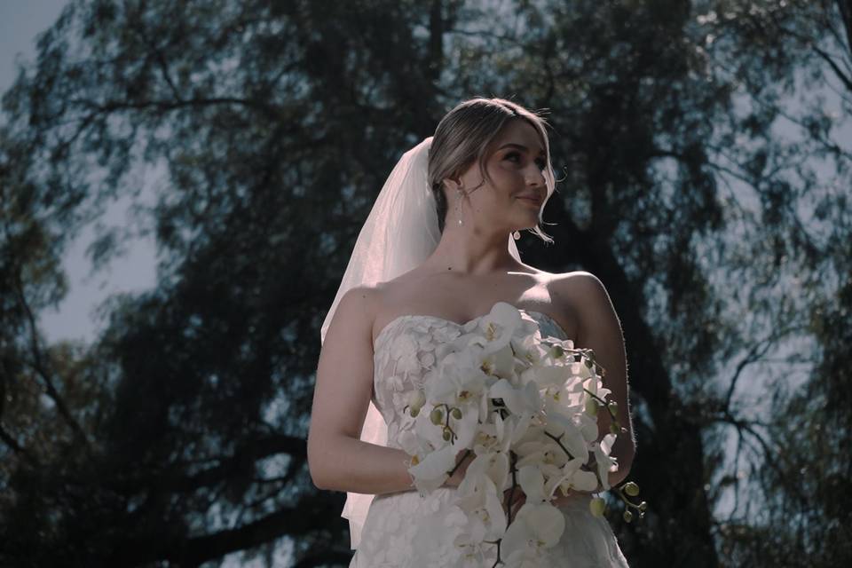 Bride portrait