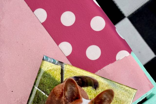 Pet magnets