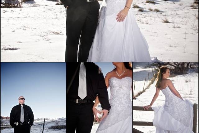 Adamson Imagery