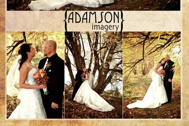 Adamson Imagery