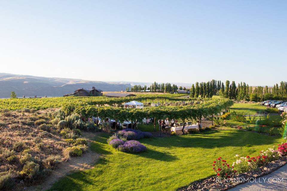 Cave B Estate Winery and Resort