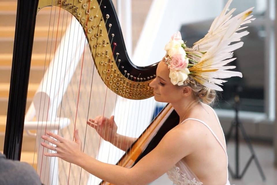 Michelle Campbell - Harpist