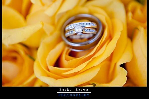 Becky Brown Photography